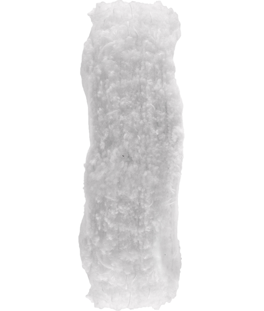 Poli Cloud- rongykorong